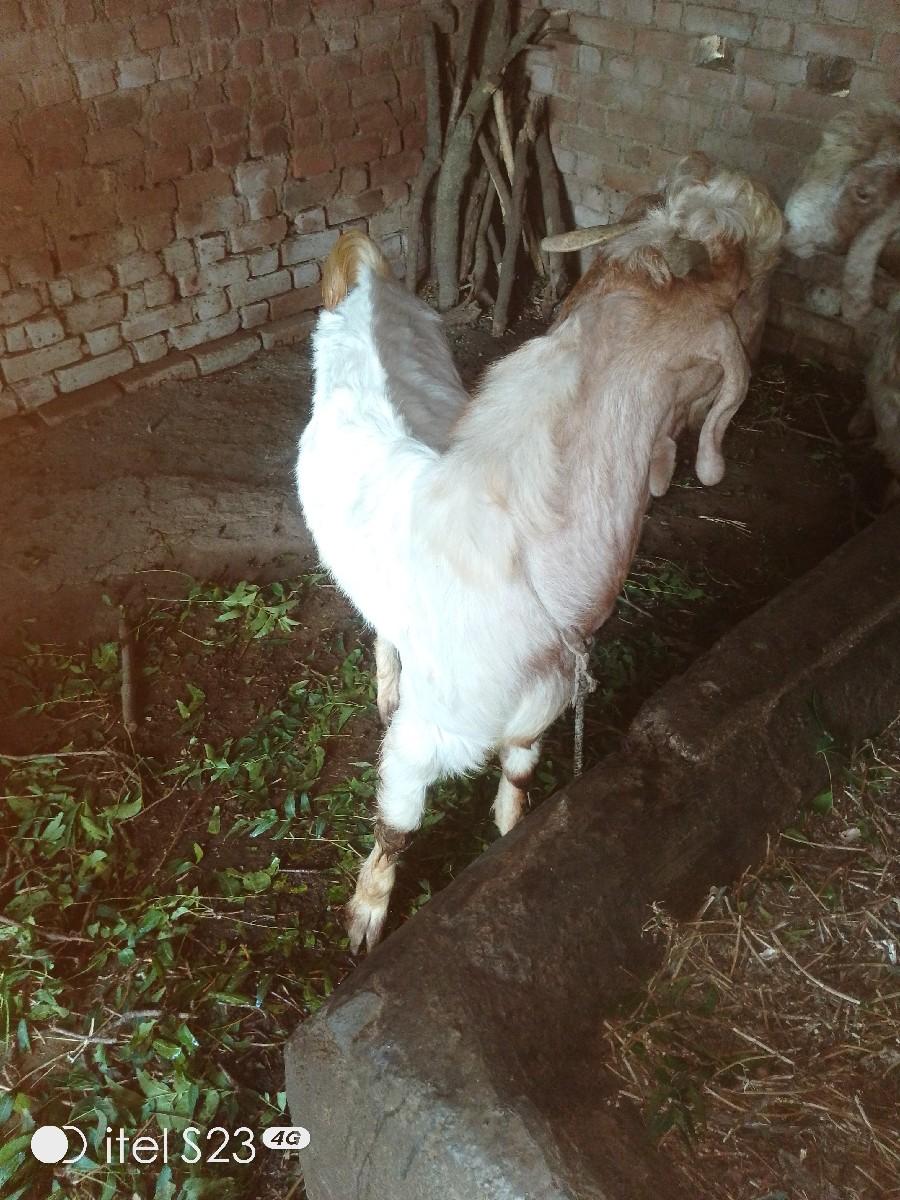 थंबनेल 2