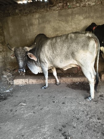 थंबनेल 2