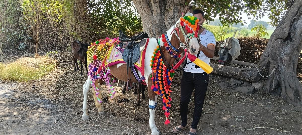 થંબનેલ 2