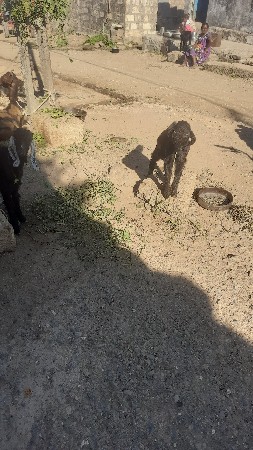 थंबनेल 3