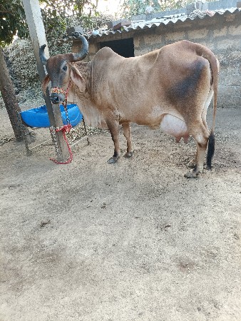 थंबनेल 2