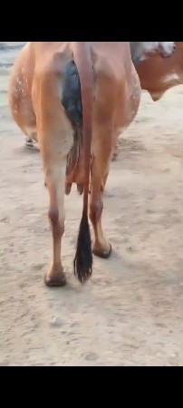 થંબનેલ 3