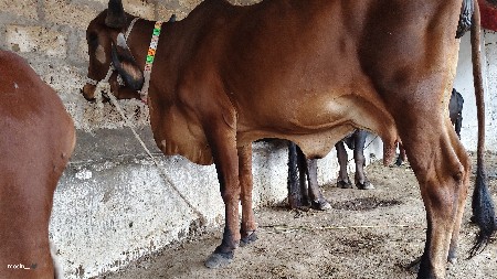 थंबनेल 2