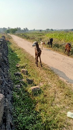 थंबनेल 2