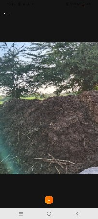 દેશી સાણિયુ ખાતર વેચવા નુ છે