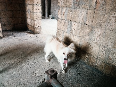 थंबनेल 3