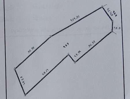 થંબનેલ 1