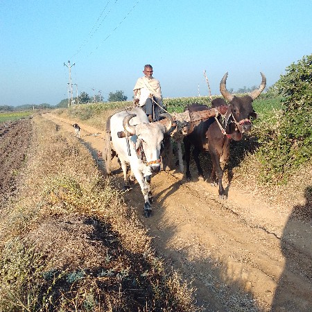 થંબનેલ 3