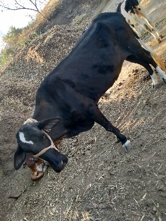 थंबनेल 2