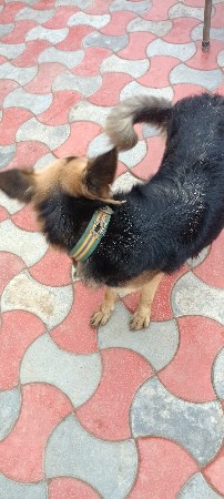 થંબનેલ 3