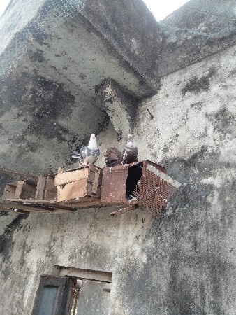 થંબનેલ 2