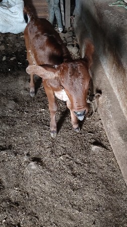 થંબનેલ 3