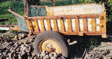 થંબનેલ 2