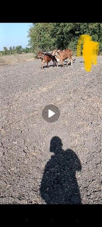 थंबनेल 3