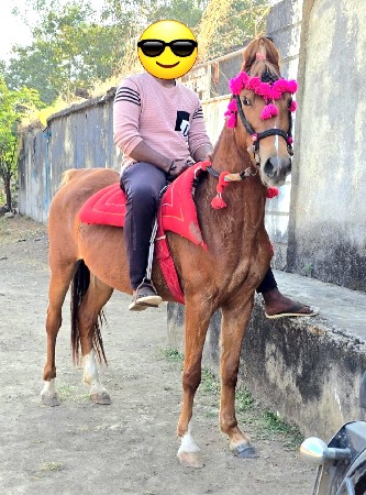 થંબનેલ 3