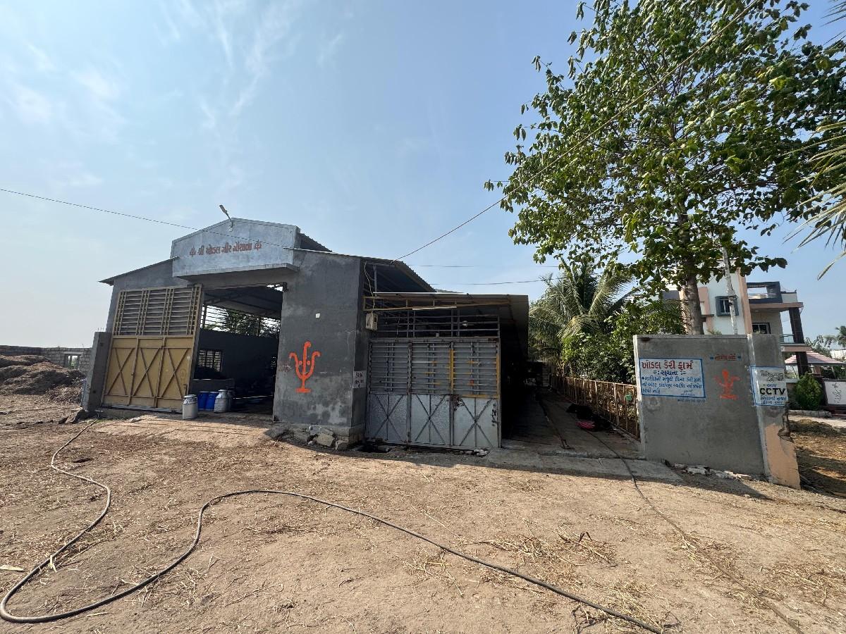 થંબનેલ 2