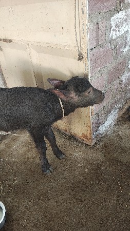 थंबनेल 3