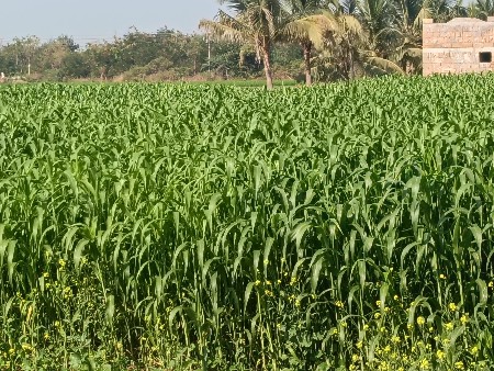 વેચવાનો છે