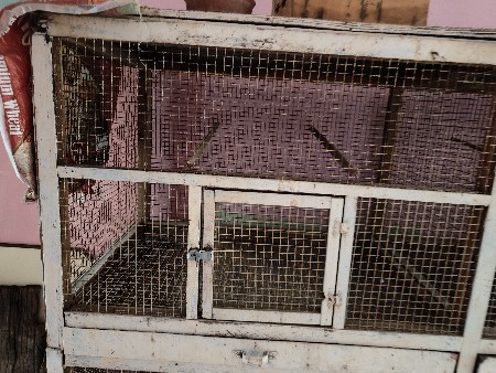 કેજ વેચવાનુ છે