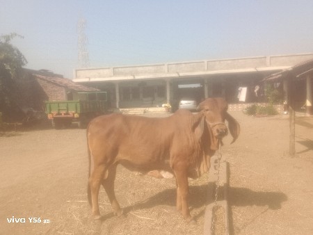 थंबनेल 3