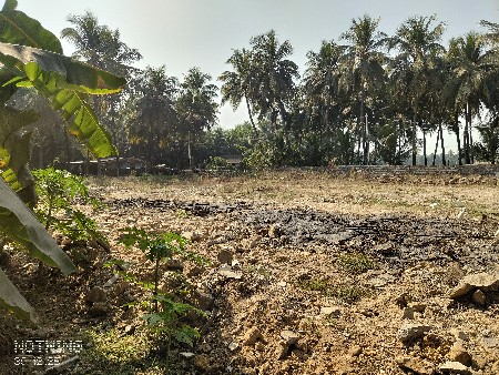 थंबनेल 2