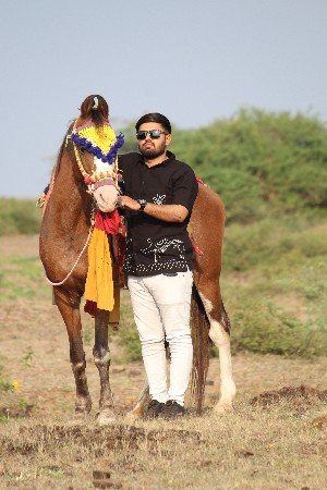 ઘોડી વેશવાનીસા