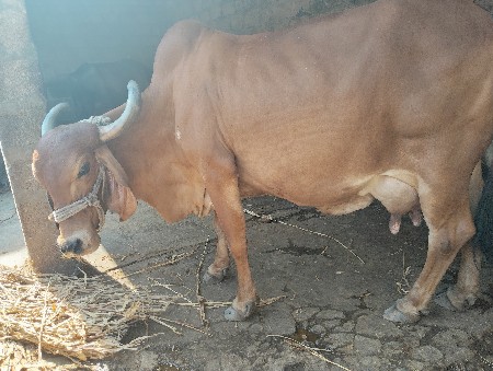 थंबनेल 2