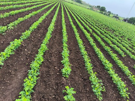 જમીન વેચવાની છે