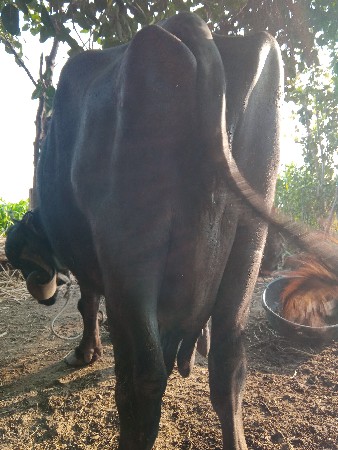 थंबनेल 3