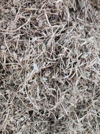 માંડયું