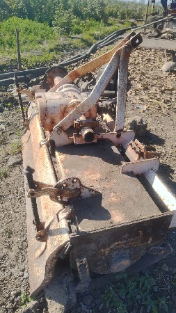 થંબનેલ 5