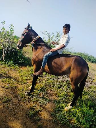 થંબનેલ 2