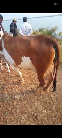 थंबनेल 2