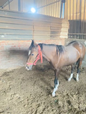 थंबनेल 3