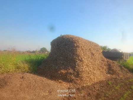 માડવીયુ ભુકો પાલો વેચવાનું છે