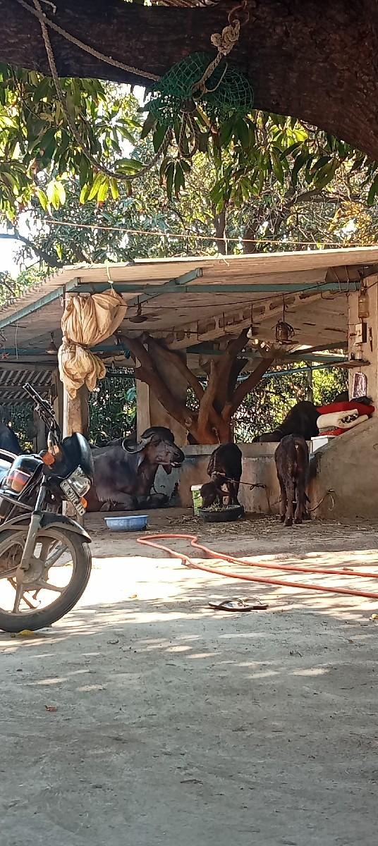 1 માણસ ની જરૂર છે