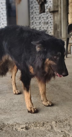 थंबनेल 3