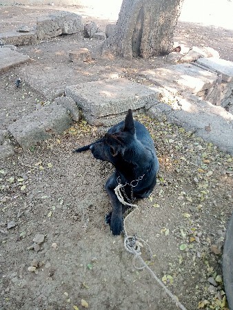 થંબનેલ 2