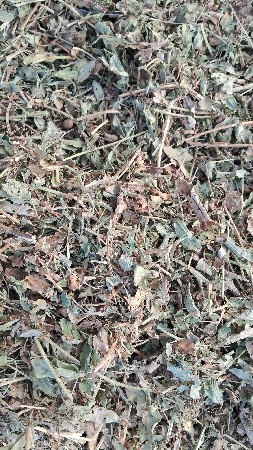 થંબનેલ 6