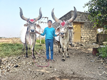 थंबनेल 3