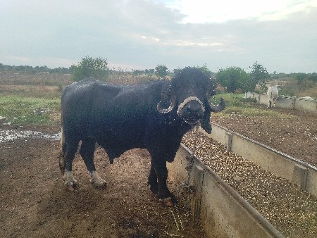 थंबनेल 2