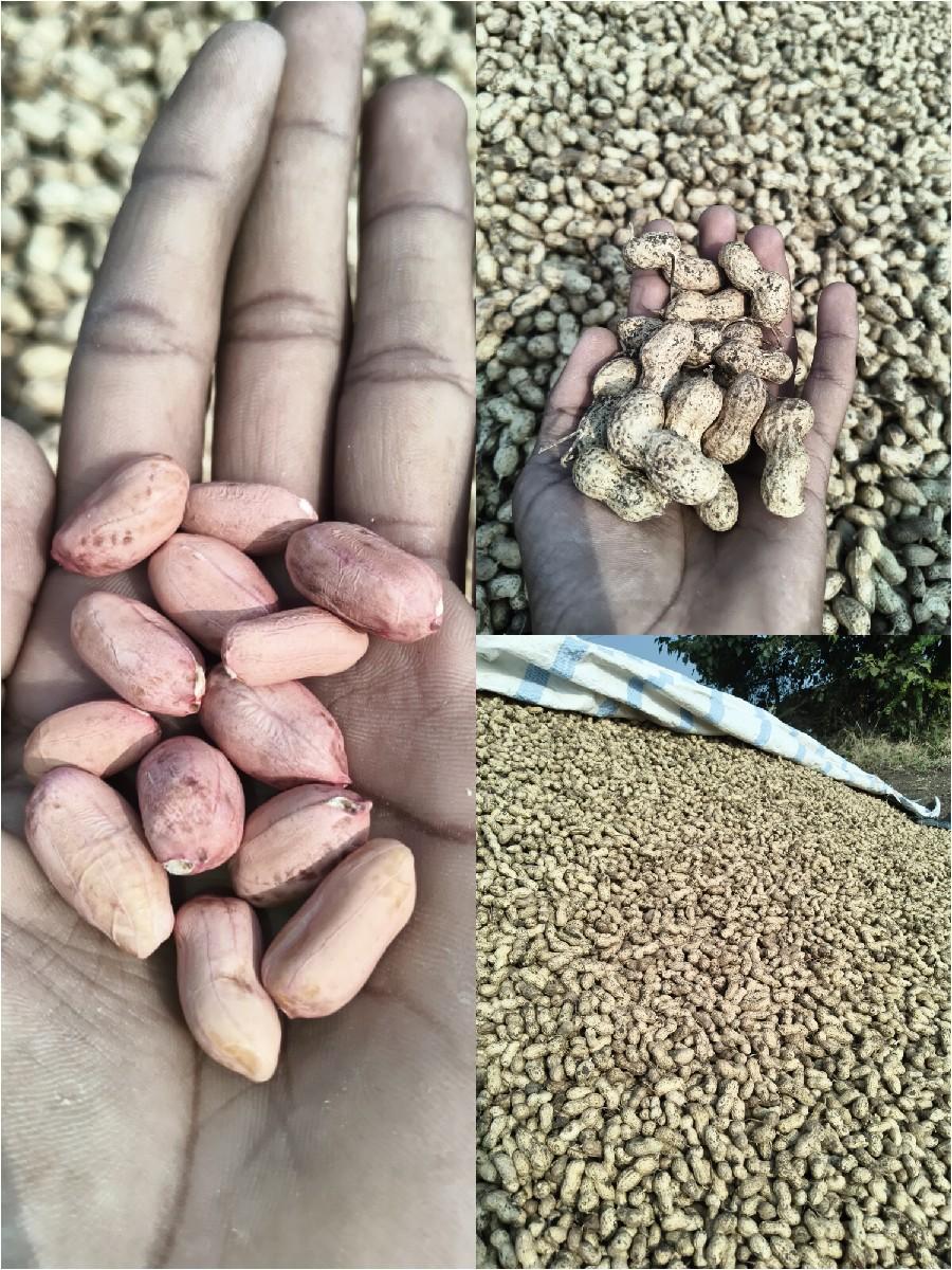 39 નંબર કોરી માંડવી વેચવાની છે