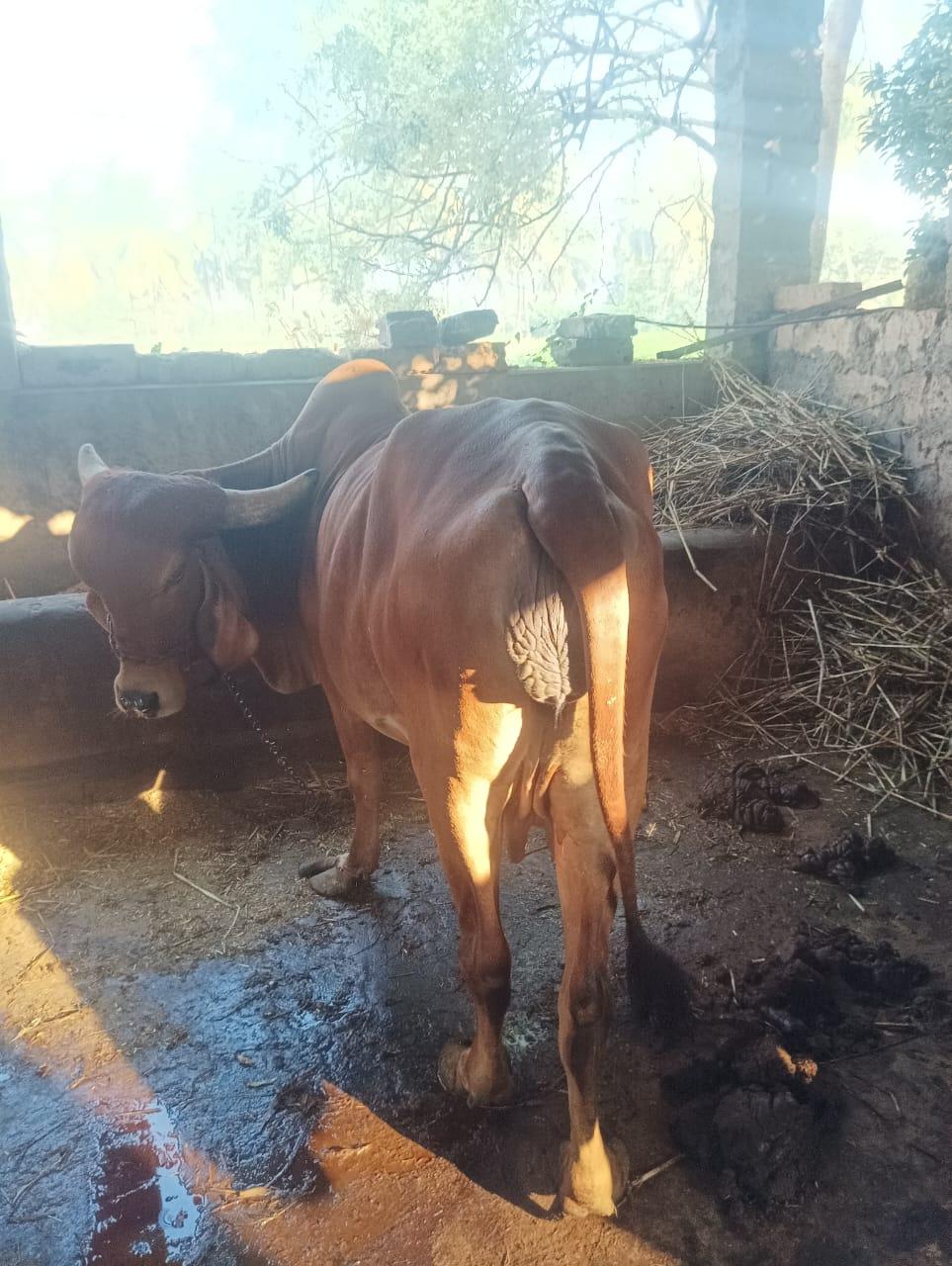 થંબનેલ 3