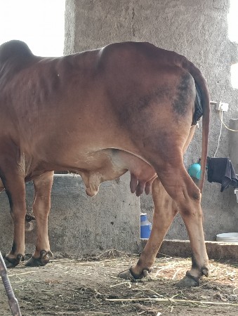 थंबनेल 2