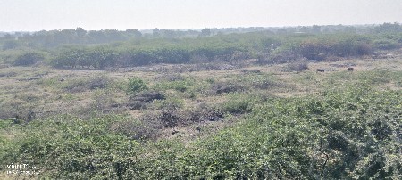 थंबनेल 3