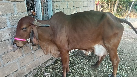 थंबनेल 3