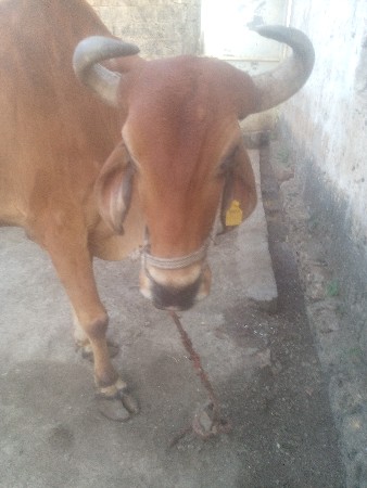 थंबनेल 3