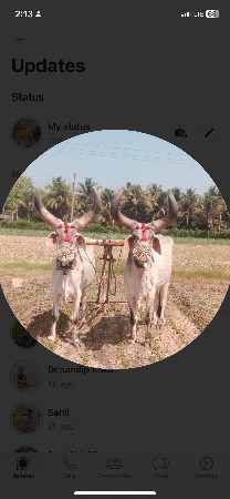 થંબનેલ 1