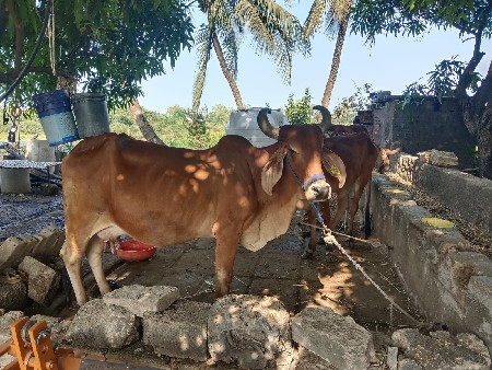 थंबनेल 1