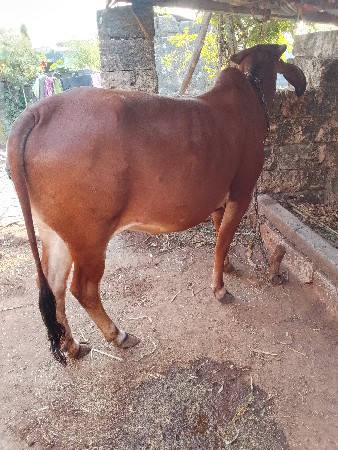 थंबनेल 2